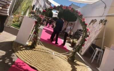 Alfombras rojas para colecciones de moda en la calle